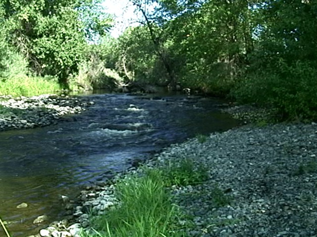 Joaquin Miller pics.206